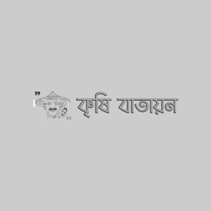 বট পাকড়ি